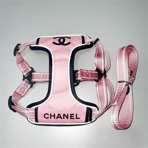 chanel dog clothes|designer dog collars Chanel.